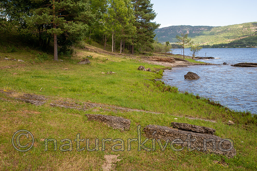 SIG_2720