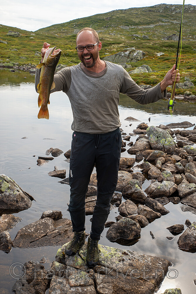 SIG_2802 / Salmo trutta / ørret