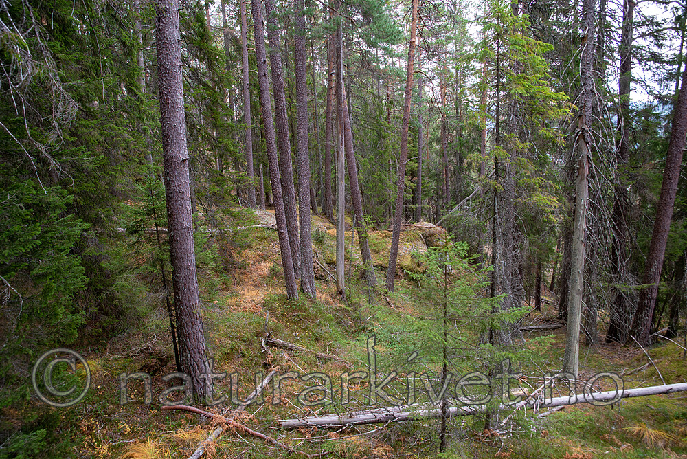 SIG_3178
