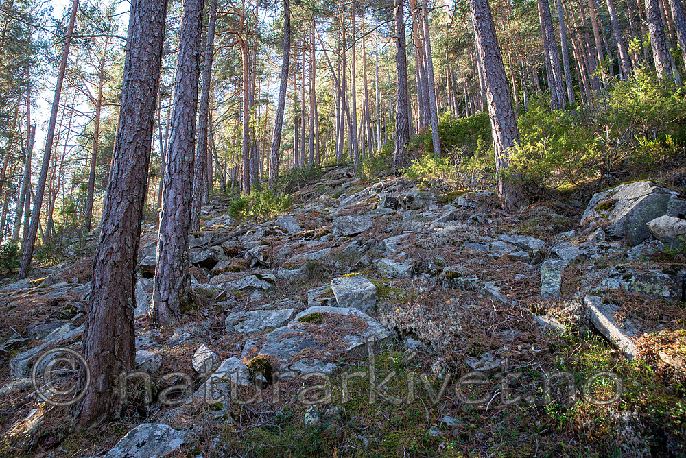 SIG_3180