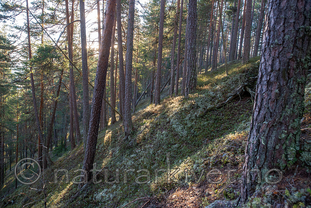 SIG_3457
