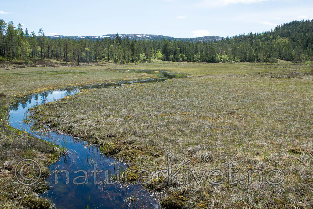 SIG_3995