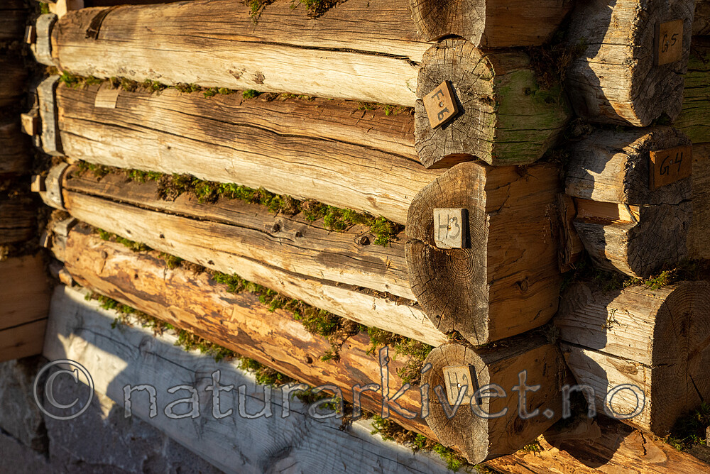 SIG_5475-2