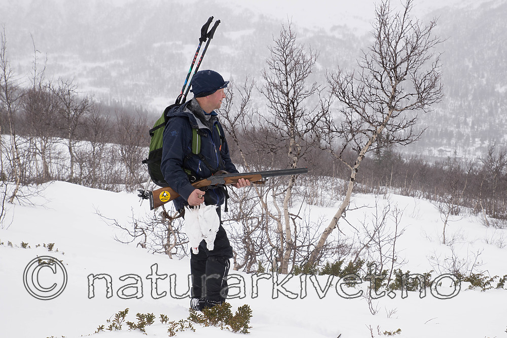 SIG_8589