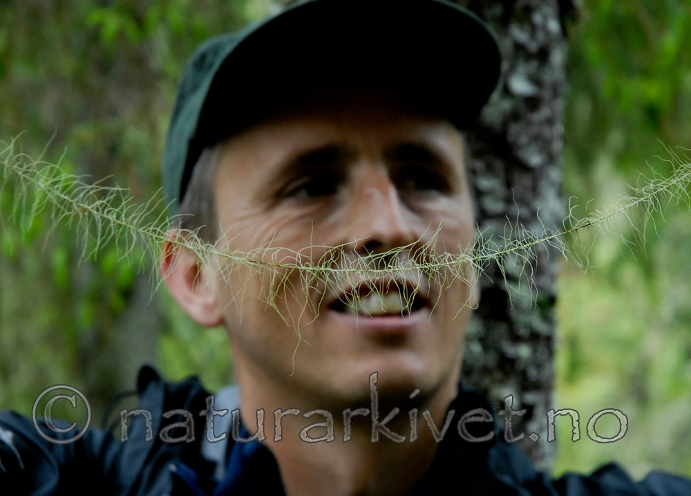 _SRE3107 / Usnea longissima / Huldrestry