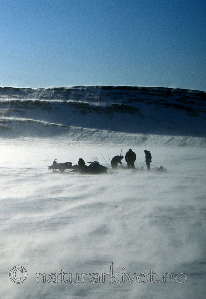svalbard983