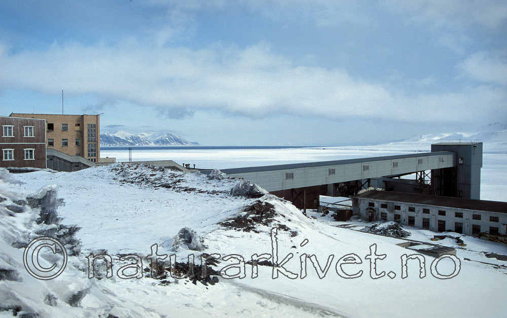 svalbard997